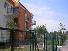 Matolayné Amarilla