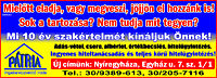 Görömbeiné Teri