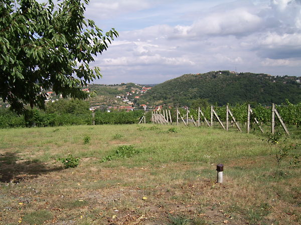 Eladó földterület Pécs, Ürög 1. kép