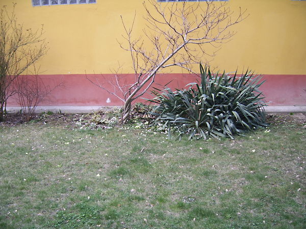 //pic01.ingatlannet.hu/ingatlan/2012/3/14/1515113-1.jpg