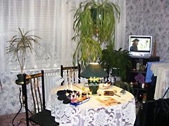 Eladó ház Győr 4. kép