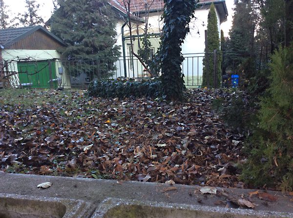 Eladó ház Miskolc, Csabai kapu 30. kép