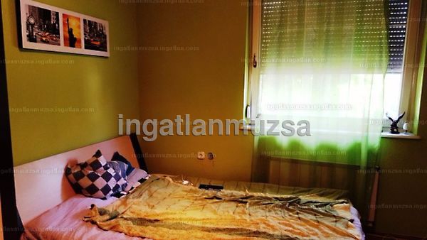 Eladó ház Kecskemét 9. kép