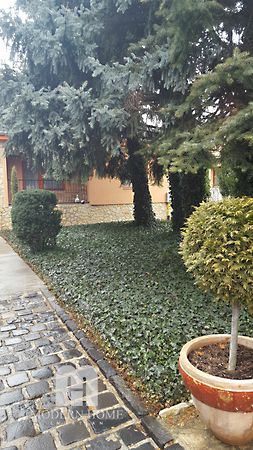 Eladó ház Székesfehérvár, Öreghegy 16. kép