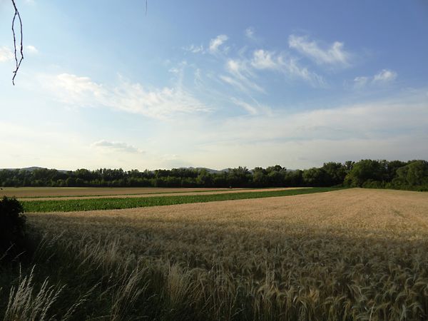 Eladó földterület Pilismarót, Basaharc 1. kép