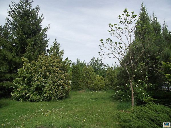 Eladó földterület Szombathely 4. kép
