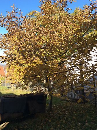 Eladó ház Miskolc, Komlóstető 3. kép