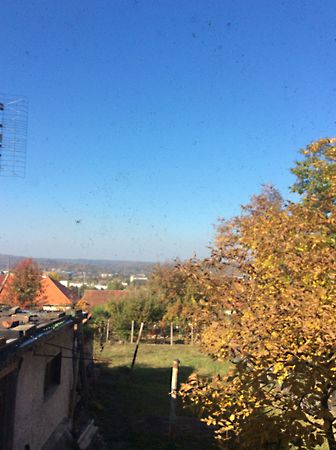 Eladó ház Miskolc, Komlóstető 8. kép