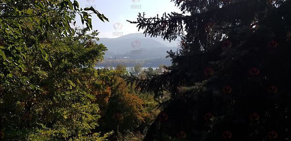 //pic01.ingatlannet.hu/ingatlan/2018/10/16/5105090-5.jpg