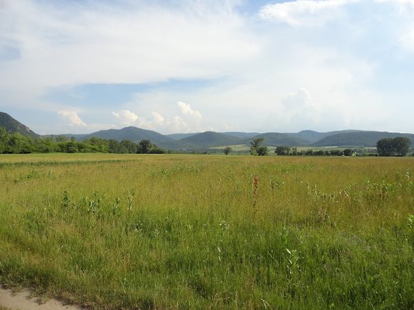 Eladó földterület Pilismarót 3. kép