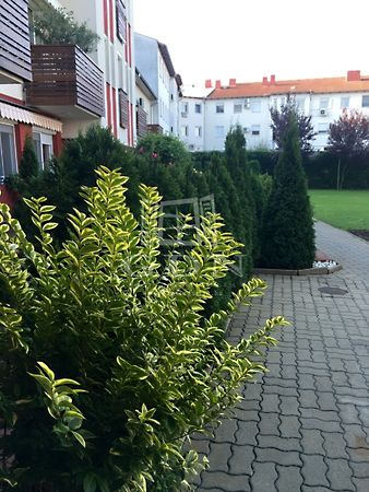 Eladó lakás Nyíregyháza 11. kép