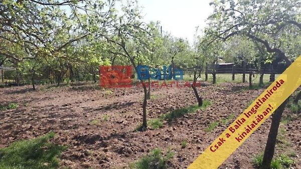 Eladó ház Kecskemét 3. kép