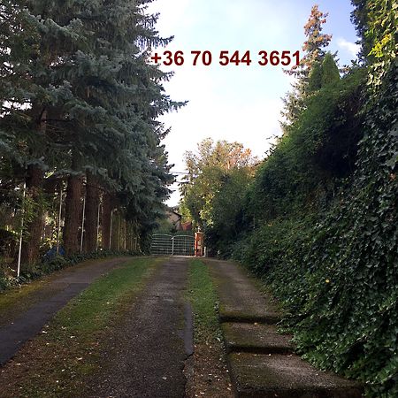 //pic01.ingatlannet.hu/ingatlan/2018/10/6/5095036-15.jpg