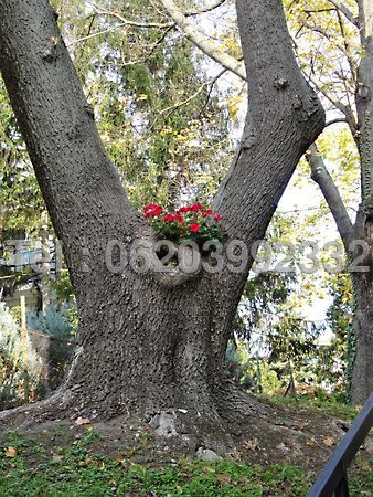 //pic01.ingatlannet.hu/ingatlan/2018/11/24/5144537-15.jpg