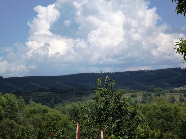 Eladó ház Nagycsepely 60. kép