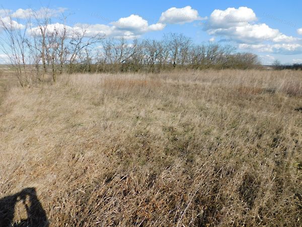 Eladó földterület Balatonszabadi 3. kép