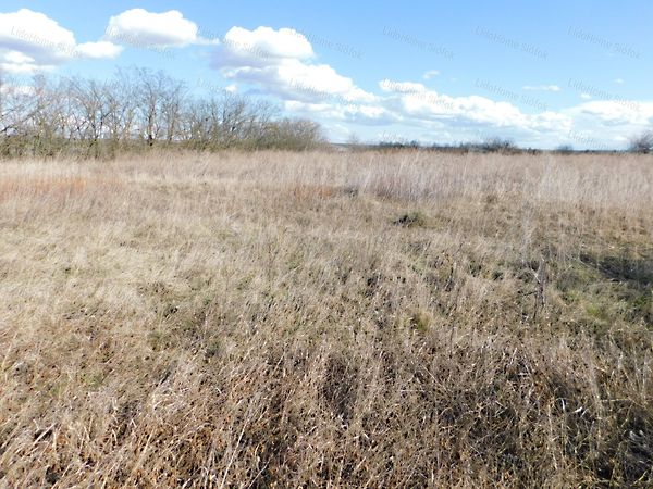 Eladó földterület Balatonszabadi 4. kép