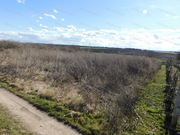 Eladó földterület Balatonszabadi 6. kép