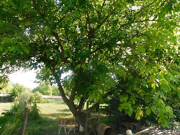 Eladó ház Siófok 15. kép