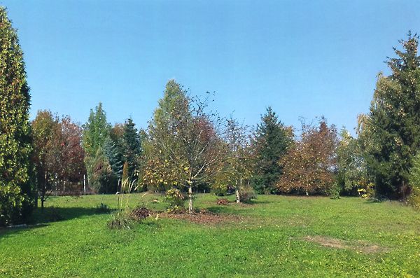 Eladó földterület Szombathely, Olad 3. kép