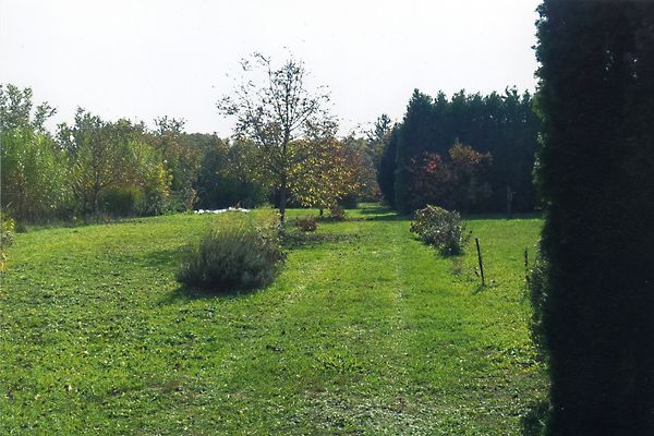 Eladó földterület Szombathely, Olad 4. kép
