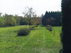 Eladó földterület Szombathely, Olad 4. kép