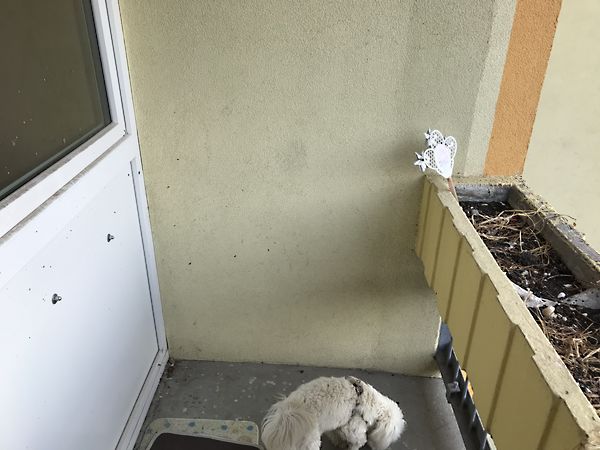 //pic01.ingatlannet.hu/ingatlan/2018/12/13/5163789-4.jpg
