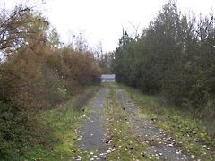 Eladó ház Debrecen, Nagycsere 5. kép