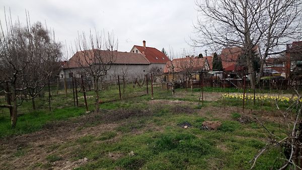 Eladó ház Szeged, Petőfitelep 20. kép