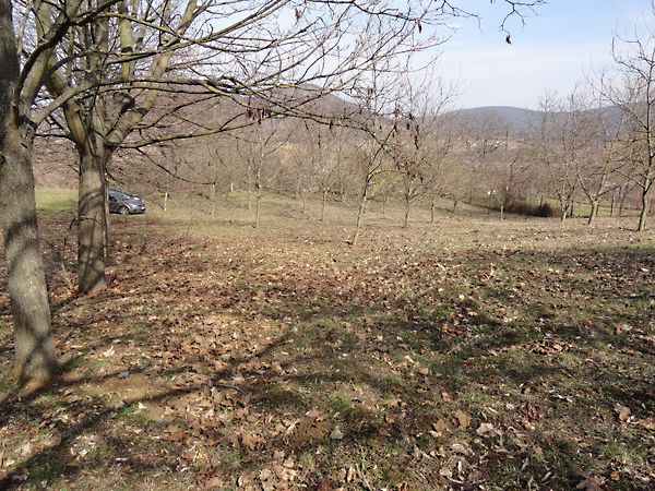 Eladó nyaraló Esztergom, Bírórét-dűlő 13. kép