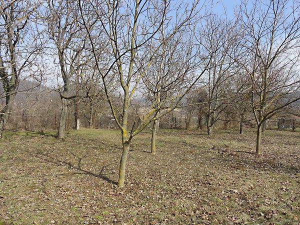 Eladó nyaraló Esztergom, Bírórét-dűlő 16. kép