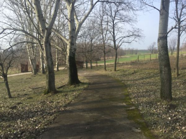 Eladó ház Rácalmás 12. kép
