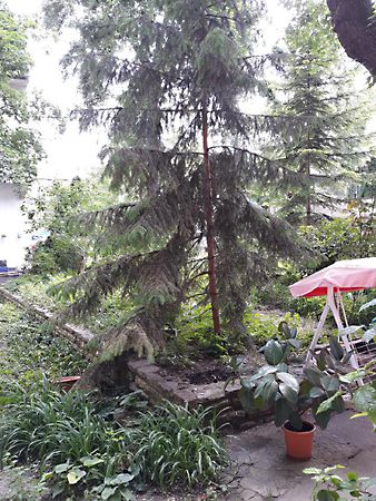 //pic01.ingatlannet.hu/ingatlan/2018/5/14/4948075-9.jpg