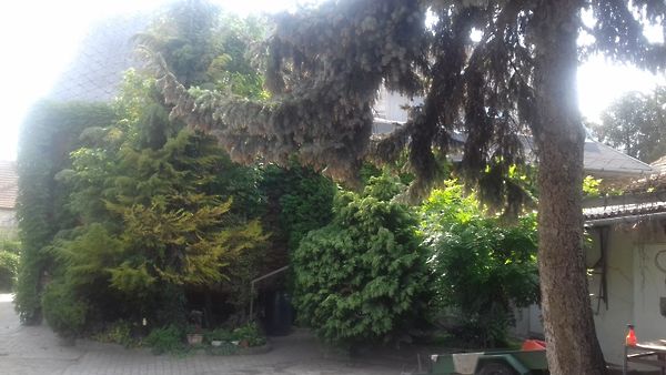//pic01.ingatlannet.hu/ingatlan/2018/5/23/4956914-6.jpg