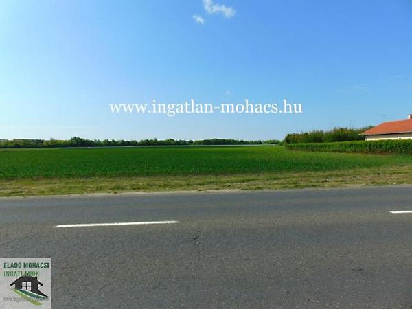 Eladó földterület Mohács 1. kép