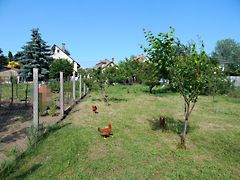 Eladó ház Debrecen 4. kép