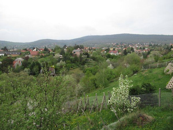 Eladó ház Pécs, Donátus 17. kép