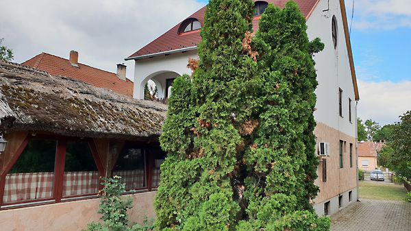 Eladó ház Székesfehérvár, Vezér és író utcák környéke 2. kép
