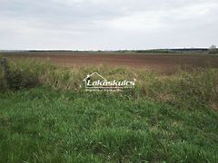 Eladó földterület Aba 2. kép