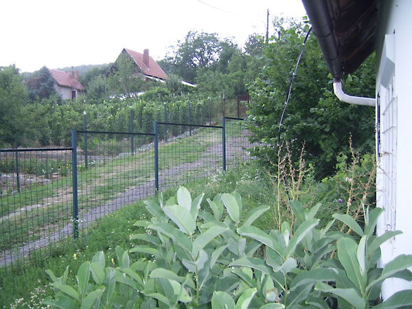 Eladó ház Pécs, Patacs 16. kép