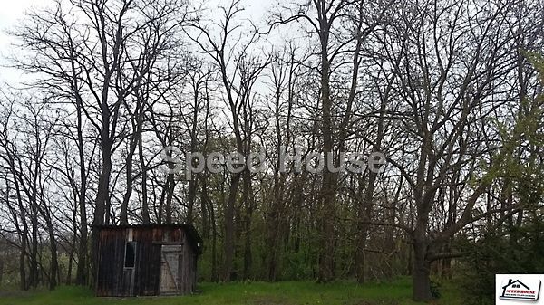 Eladó földterület Nyíregyháza 1. kép