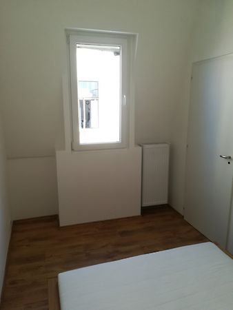 Kiadó lakás Pécs 10. kép