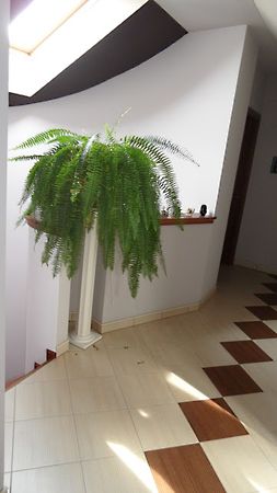 Eladó ház Szeged, Újszeged 33. kép