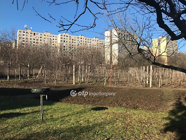 Eladó ház Miskolc 10. kép