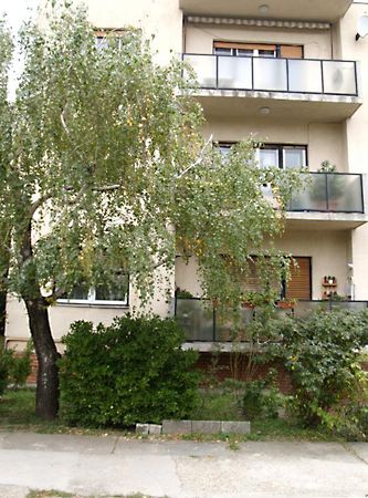 Kiadó lakás Budapest, XI. kerület 14. kép