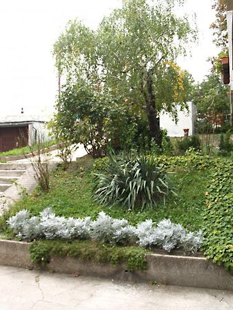 Kiadó lakás Budapest, XI. kerület 16. kép
