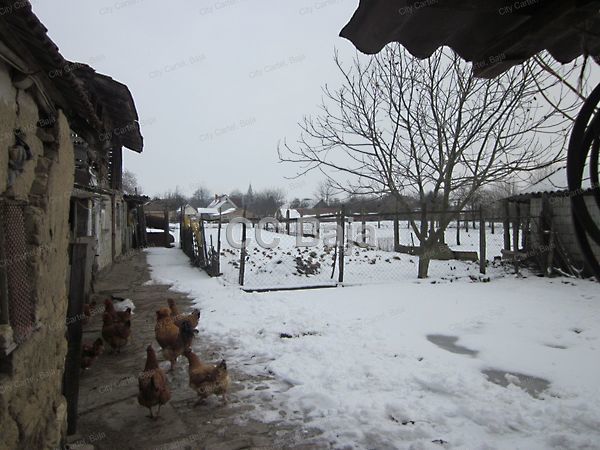 Eladó ház Felsőszentiván 13. kép