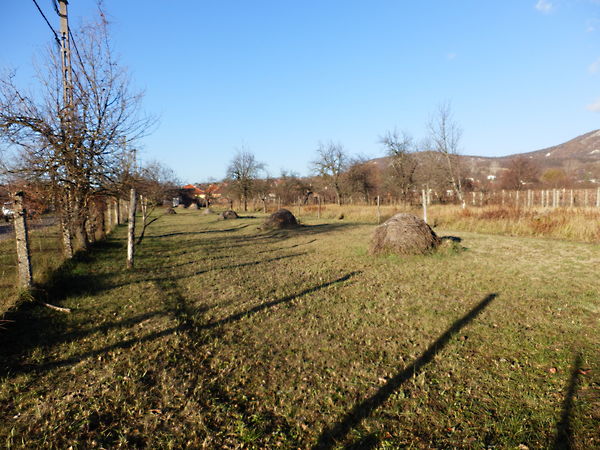 Eladó földterület Kesztölc 1. kép