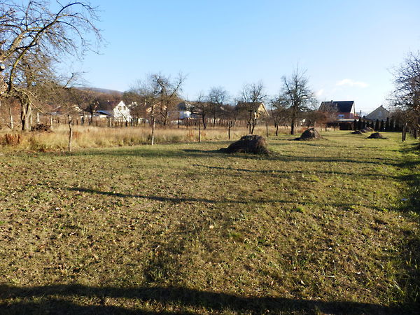 Eladó földterület Kesztölc 4. kép