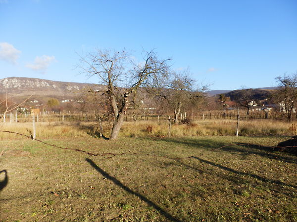 Eladó földterület Kesztölc 6. kép